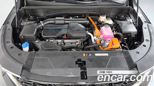 Kia Sorento (IV) HEV 1.6 2WD Noblesse 2025 — фото 6