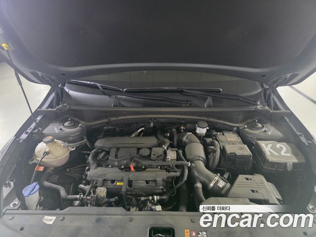 Kia Sportage (V) Gasoline 1.6 Turbo 2WD Nobleless 2024 — фото 22