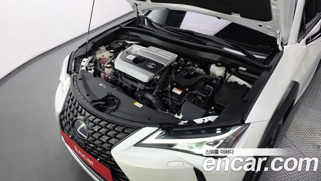 Lexus UX250h 2.0 2WD 2019 — фото 6