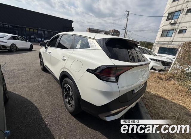 Kia Sportage (V) Gasoline 1.6 Turbo 2WD Trendy 2022 — фото 3