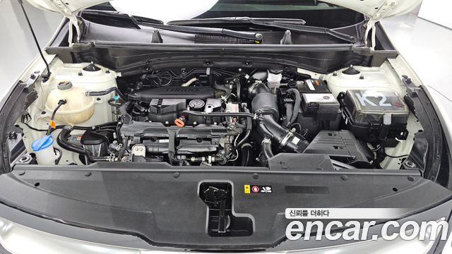 Kia Sportage (V) Gasoline 1.6 Turbo 2WD Nobleless 2022 — фото 6