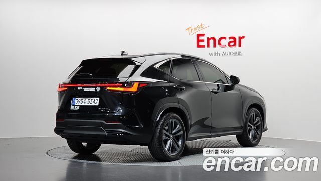 Lexus NX350h (II) Premium 2024 — фото 2
