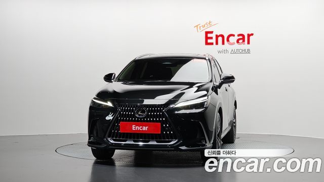 Lexus NX350h (II) Premium 2024 — фото 3