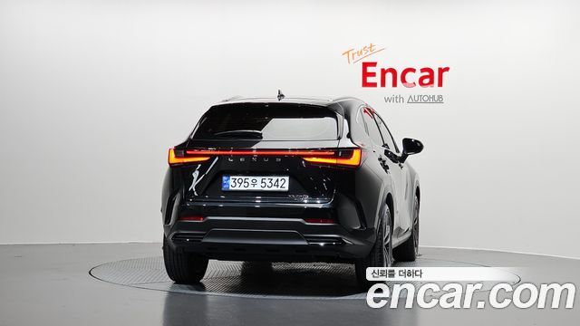 Lexus NX350h (II) Premium 2024 — фото 4