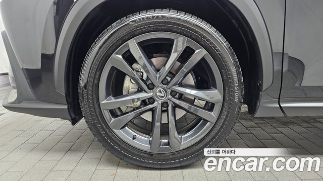 Lexus NX350h (II) Premium 2024 — фото 5