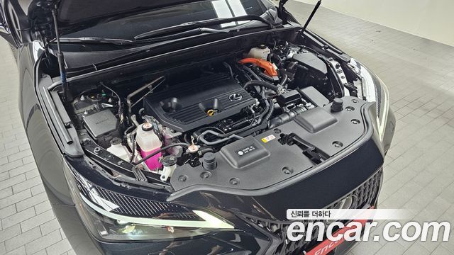 Lexus NX350h (II) Premium 2024 — фото 6
