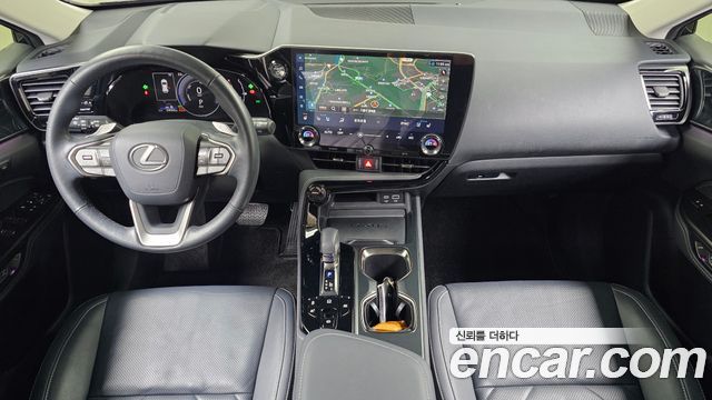 Lexus NX350h (II) Premium 2024 — фото 7