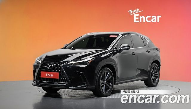 Lexus NX350h (II) Premium 2024 — фото 1