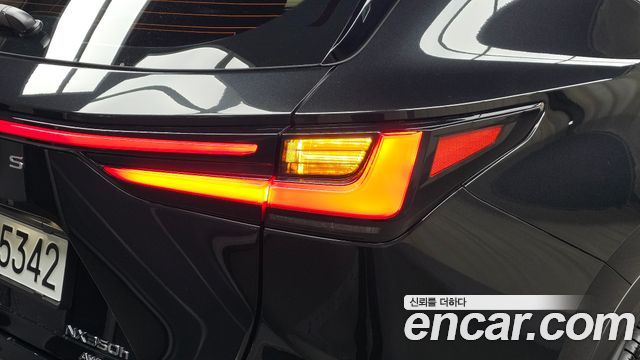 Lexus NX350h (II) Premium 2024 — фото 23