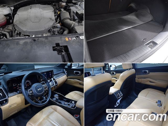 Kia Sorento (IV) Diesel 2.2 2WD Trendy 2022 — фото 18
