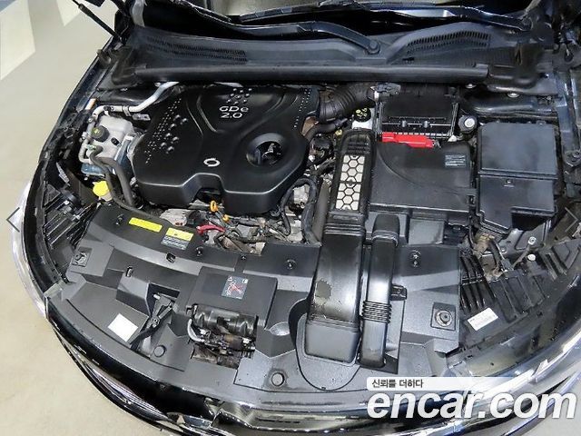Renault Korea SM6 2.0 GDe LE 2016 — фото 21
