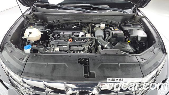 Hyundai Tucson (NX4) Gasoline 1.6 Turbo 2WD Premium 2023 — фото 6