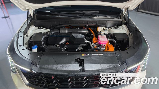 Kia Sorento (IV) HEV 1.6 2WD Noblesse 2024 — фото 6