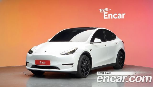 Tesla Model Y RWD