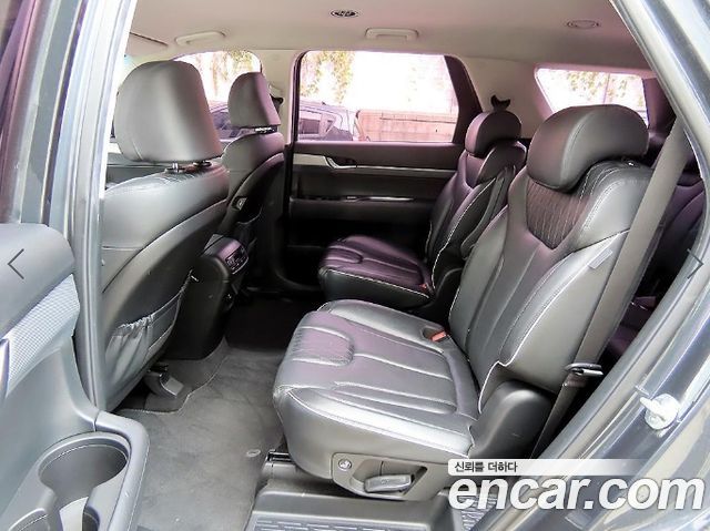 Hyundai Palisade Diesel 2.2 2WD Exclusive 2019 — фото 6