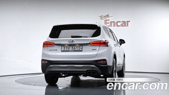 Hyundai Santa Fe (TM) Diesel 2.0 2WD Premium 2019 — фото 4