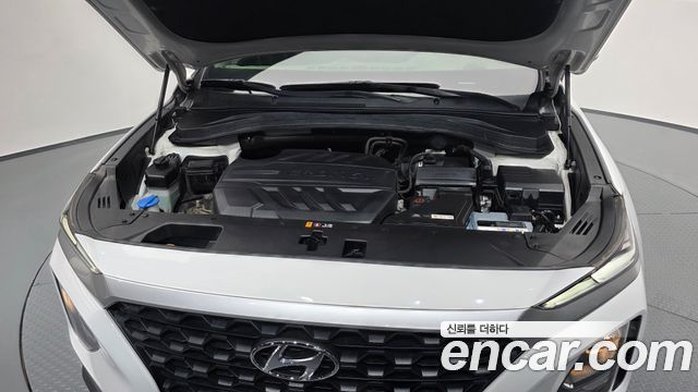 Hyundai Santa Fe (TM) Diesel 2.0 2WD Premium 2019 — фото 6