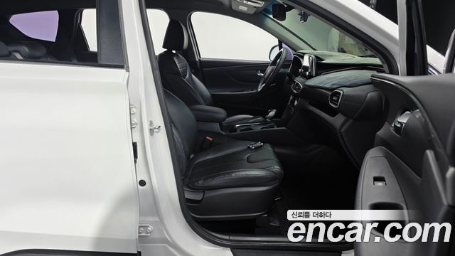 Hyundai Santa Fe (TM) Diesel 2.0 2WD Premium 2019 — фото 11