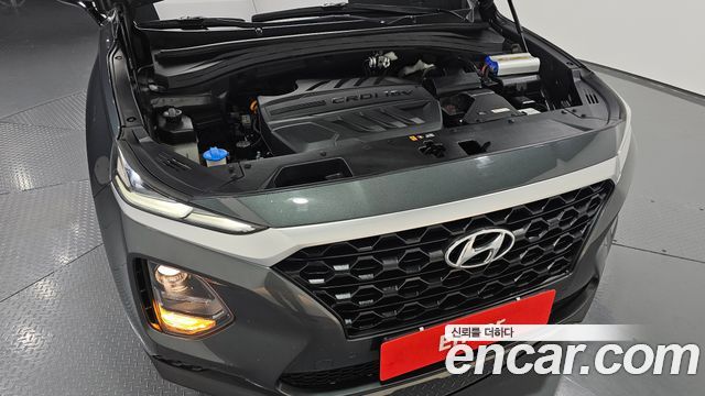 Hyundai Santa Fe (TM) Diesel 2.2 2WD Exclusive 2019 — фото 6