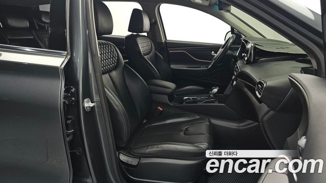 Hyundai Santa Fe (TM) Diesel 2.2 2WD Exclusive 2019 — фото 10