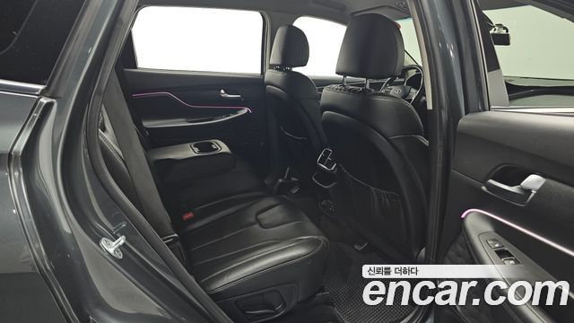 Hyundai Santa Fe (TM) Diesel 2.2 2WD Exclusive 2019 — фото 26