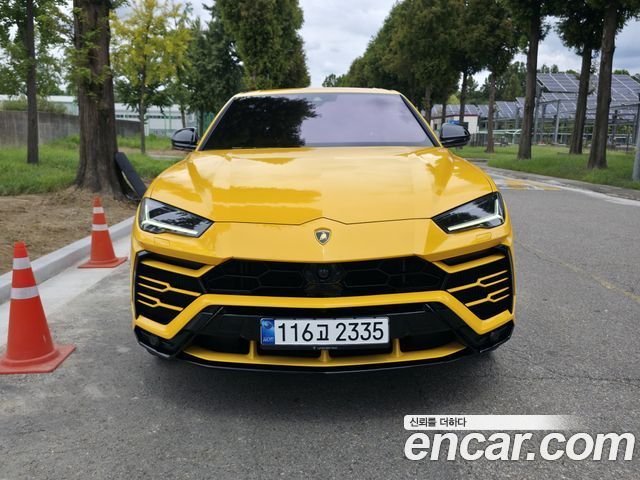 Lamborghini Urus 4.0 V8 2020 — фото 2