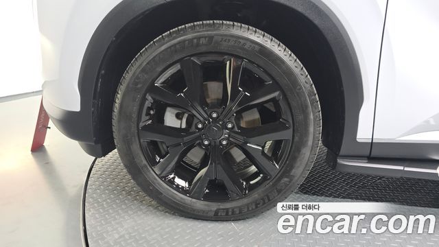 Hyundai Palisade Diesel 2.2 2WD Prestige 2020 — фото 21
