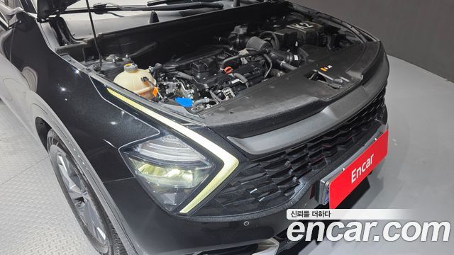 Kia Sportage (V) Gasoline 1.6 Turbo 2WD Nobleless 2023 — фото 6