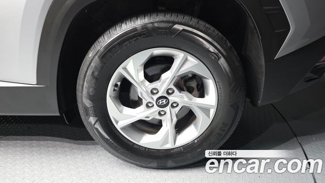 Hyundai Tucson (NX4) Diesel 2.0 2WD Modern 2023 — фото 5