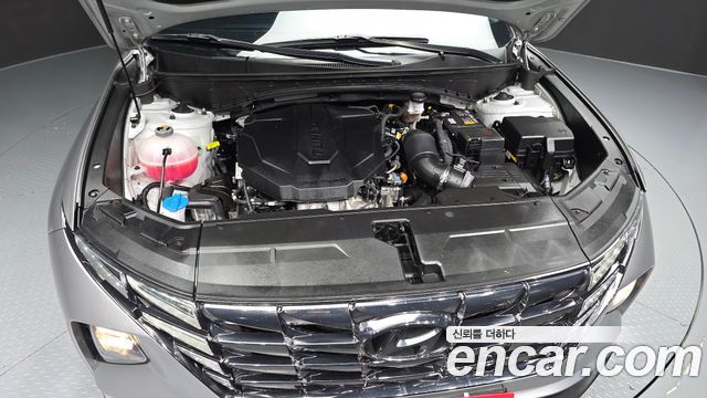 Hyundai Tucson (NX4) Diesel 2.0 2WD Modern 2023 — фото 6