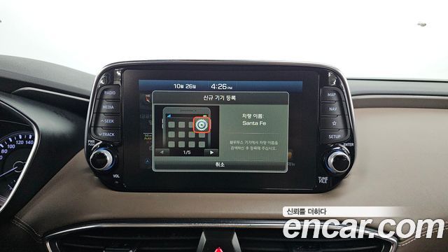 Hyundai Santa Fe (TM) Diesel 2.2 4WD Prestige 2019 — фото 14