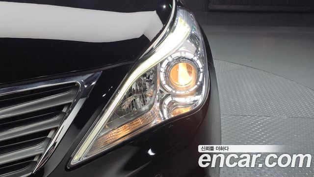 Hyundai Grandeur (HG) LPG HG300 Handicapped Only 2012 — фото 22