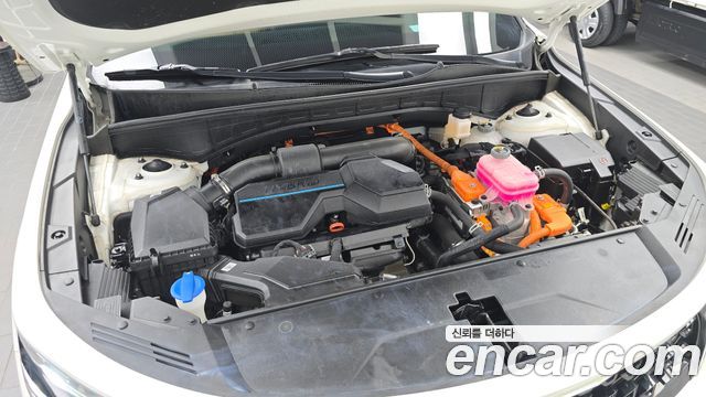 Kia Sorento (IV) HEV 1.6 2WD Noblesse 2023 — фото 6