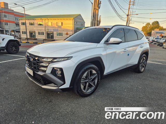 Hyundai Tucson (NX4) Gasoline 1.6 Turbo 2WD Premium 2024 — фото 2