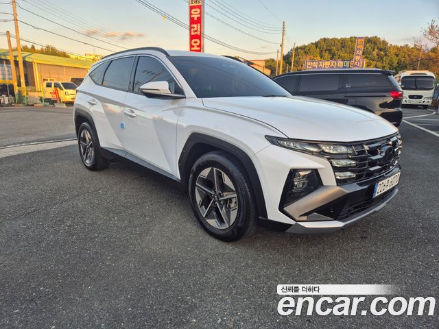 Hyundai Tucson (NX4) Gasoline 1.6 Turbo 2WD Premium 2024 — фото 3