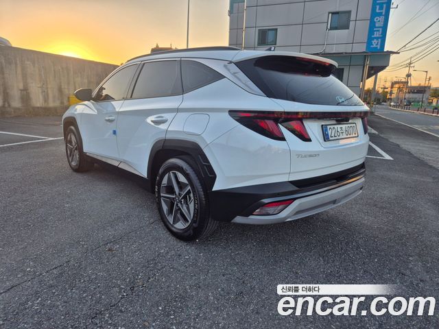 Hyundai Tucson (NX4) Gasoline 1.6 Turbo 2WD Premium 2024 — фото 6