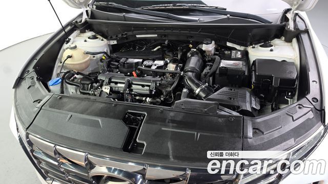 Hyundai Tucson (NX4) Gasoline 1.6 Turbo 2WD Modern 2023 — фото 6