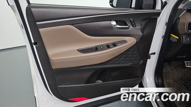 Hyundai Santa Fe (TM) Diesel 2.0 2WD Prestige 2020 — фото 24