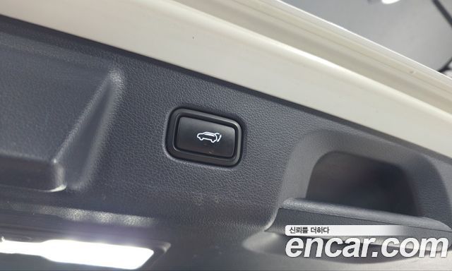 Hyundai Palisade Gasoline 3.8 4WD Prestige 2020 — фото 19
