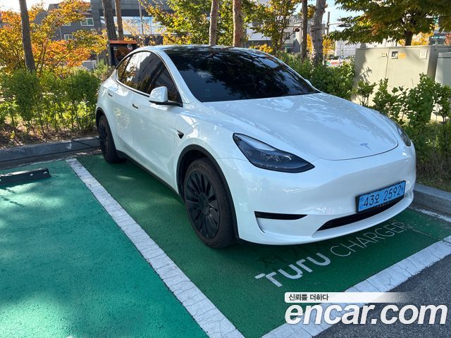 Tesla Model Y RWD