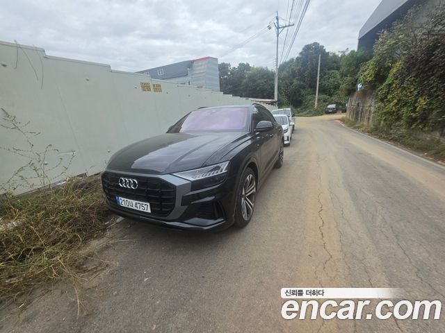 Audi Q8 (4M) 55 TFSI Quattro Premium