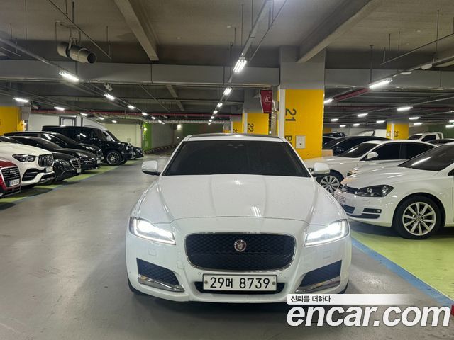Jaguar XF (X260) 25t Portfolio