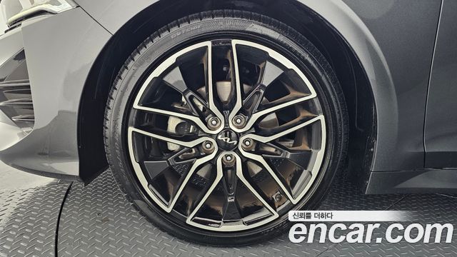 Kia K5 (III) 1.6 Turbo Noblesse 2023 — фото 5