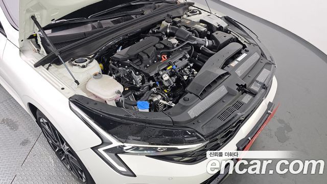 Kia K5 (III) 1.6 Turbo Noblesse 2025 — фото 6