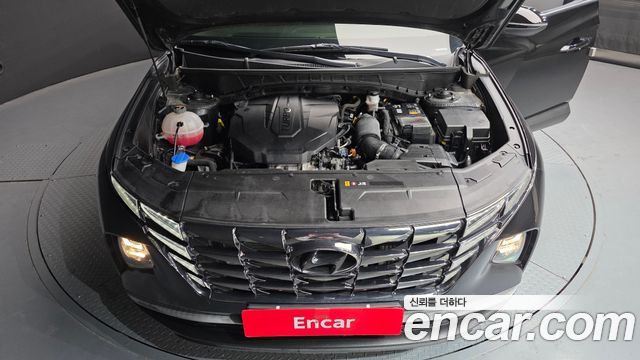 Hyundai Tucson (NX4) Diesel 2.0 4WD Modern 2023 — фото 6