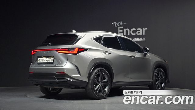 Lexus NX350h (II) Premium 2023 — фото 2