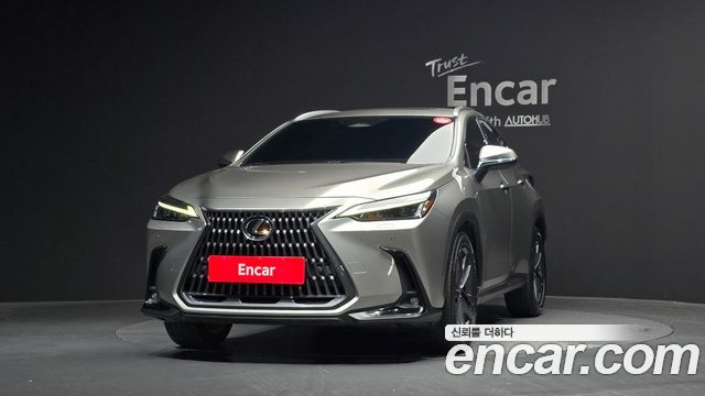 Lexus NX350h (II) Premium 2023 — фото 3