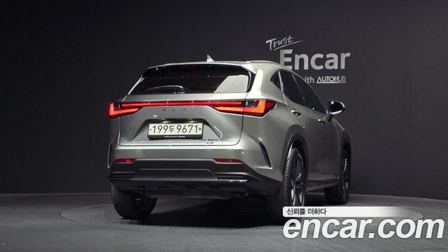 Lexus NX350h (II) Premium 2023 — фото 4