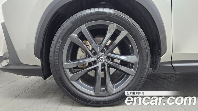 Lexus NX350h (II) Premium 2023 — фото 5