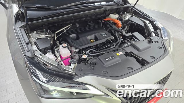 Lexus NX350h (II) Premium 2023 — фото 6